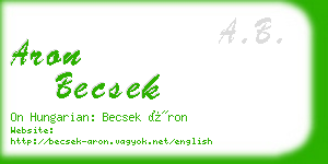 aron becsek business card